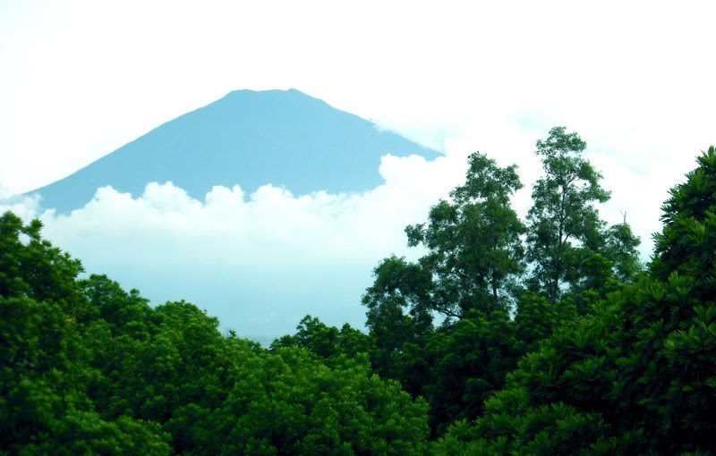 6 Spot Pendakian Gunung Penuh Misteri di Indonesia – It 